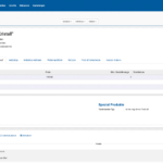 ETRON onRetail E-Commerce erweiterte Artikelstammdaten Webshop-Sonderpreise