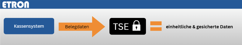 Übersicht über die einzelnen Schritte und die Funktionsweise der TSE